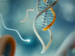 Kẹp DNA chẩn đoán đột biến di truyền gây ung thư